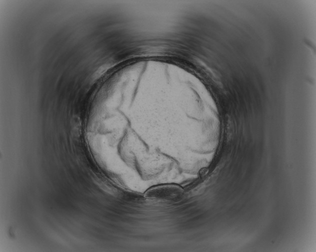 X0000096961449200803071040