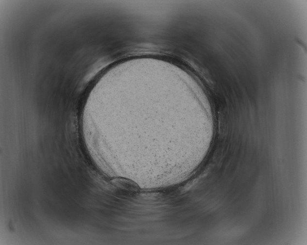 X0000096961453200803071040