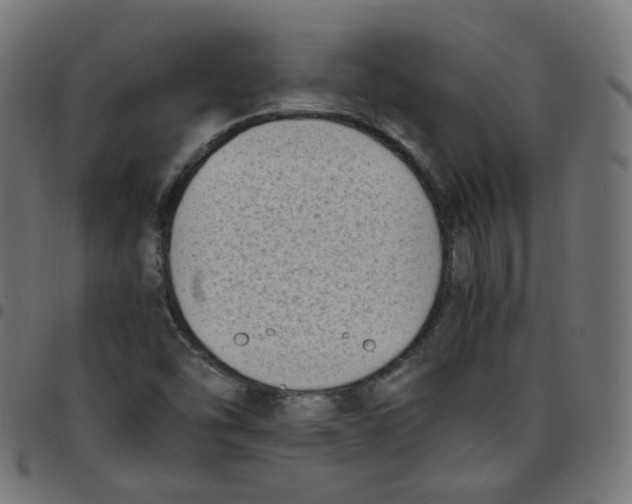 X0000096961454200803071040