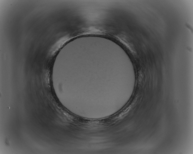 X0000096961455200803071040