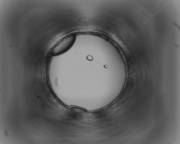 X0000096961456200803071040