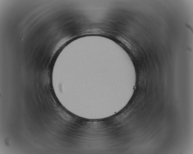 X0000096961458200803071040