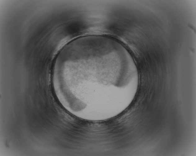 X0000096961459200803071040