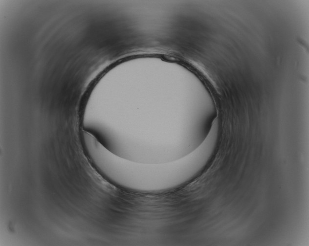 X0000096961460200803071040