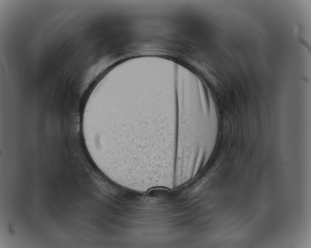 X0000096961461200803071040