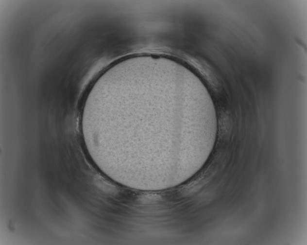 X0000096961462200803071040