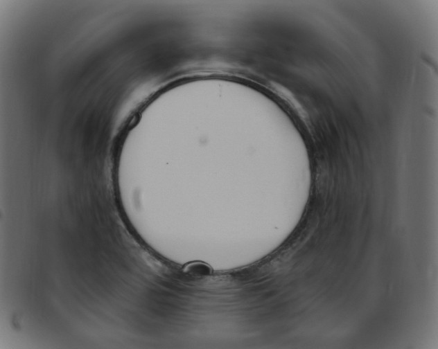 X0000096961464200803071039