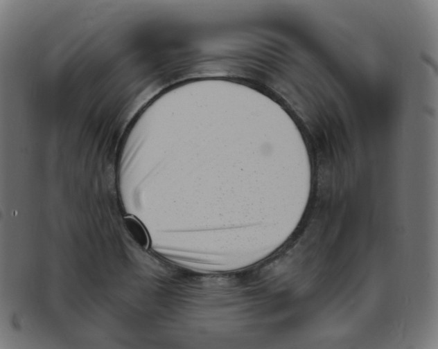 X0000096961465200803071039