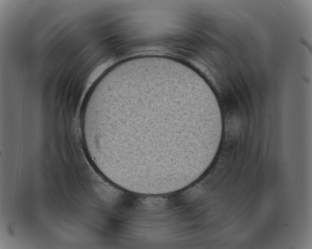 X0000096961466200803071039