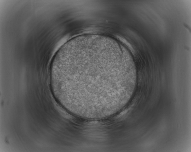 X0000096961467200803071039