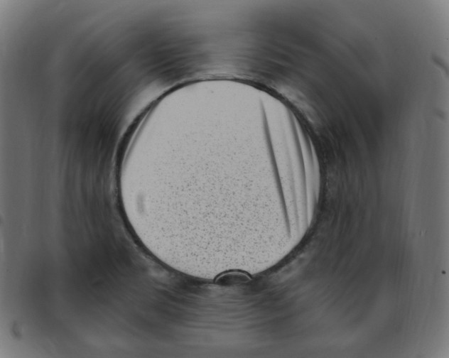 X0000096961469200803071039