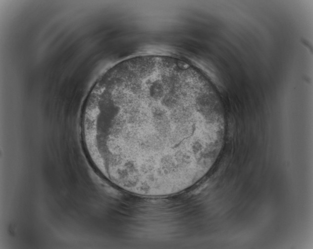 X0000096961471200803071039