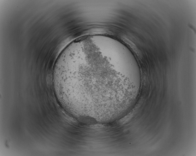 X0000096961473200803071039