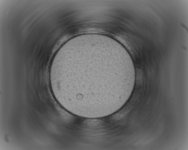 X0000096961474200803071039