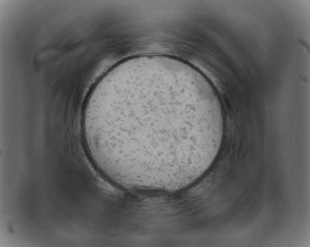 X0000096961477200803071039