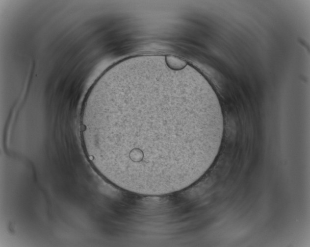 X0000096961478200803071039