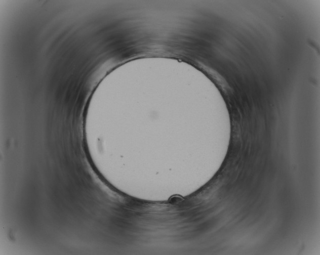 X0000096961479200803071039