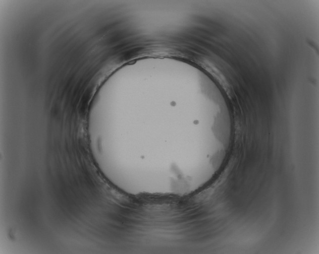 X0000096961481200803071039