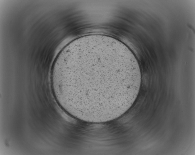 X0000096961482200803071039