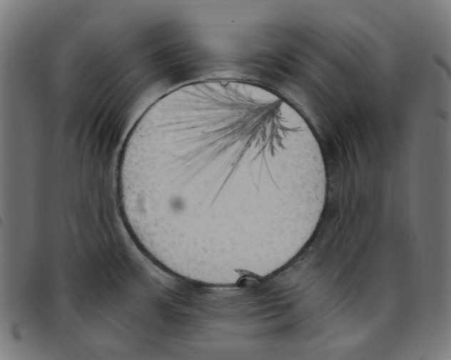 X0000096961483200803071039