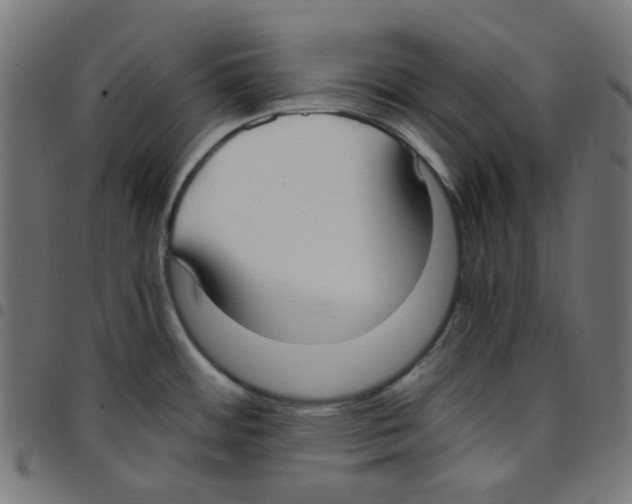 X0000096961484200803071039