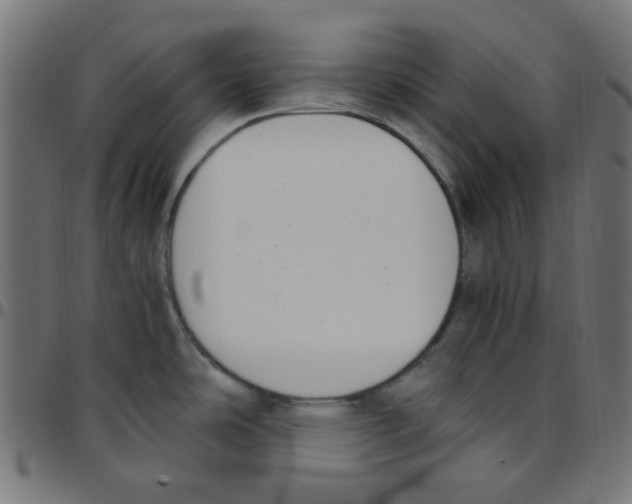 X0000096961486200803071039