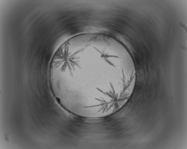 X0000096961487200803071039