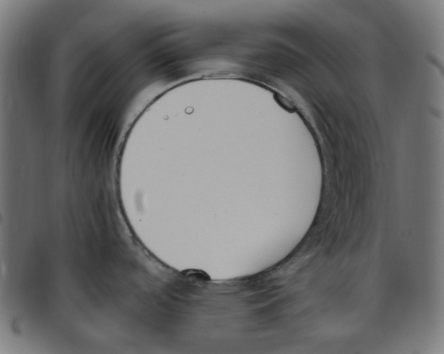 X0000096961488200803071039