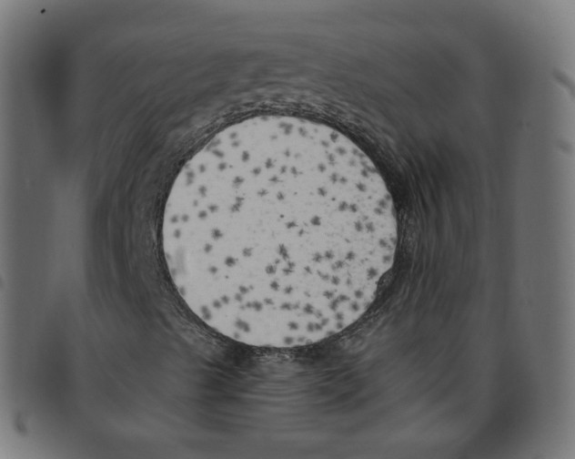 X0000096961489200803071038