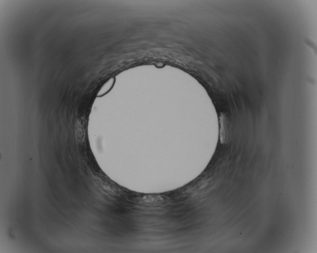 X0000096961491200803071038