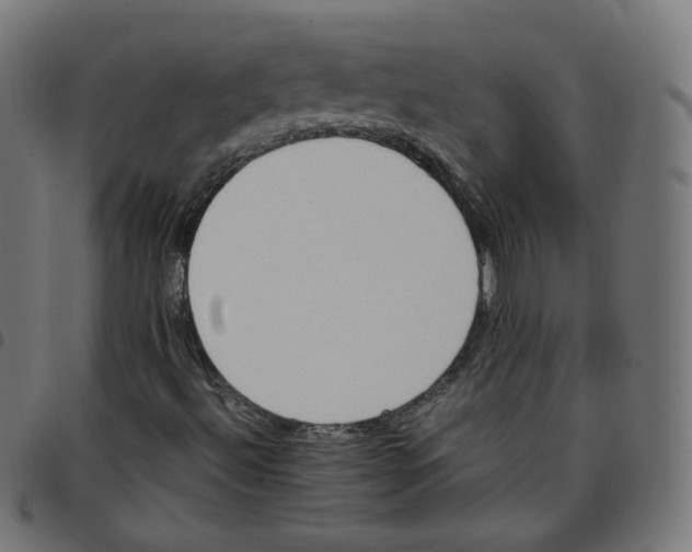 X0000096961492200803071038