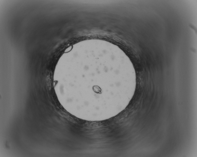 X0000096961493200803071038