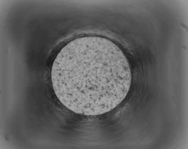 X0000096961494200803071038