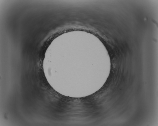 X0000096961495200803071038