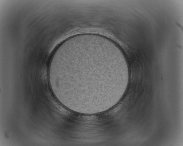 X0000096961498200803071038