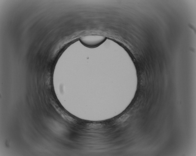 X0000096961499200803071038