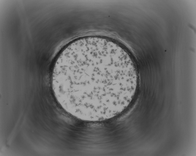 X0000096961501200803071038