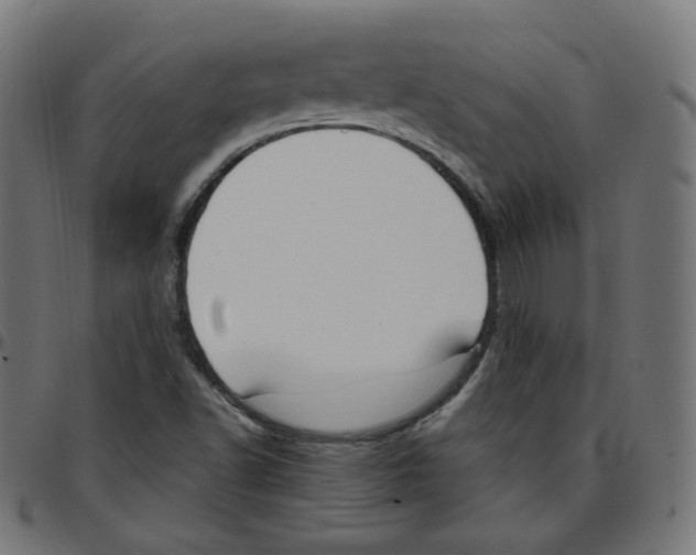 X0000096961502200803071038