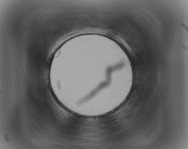 X0000096961504200803071039