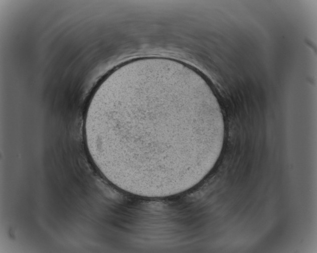 X0000096961507200803071039