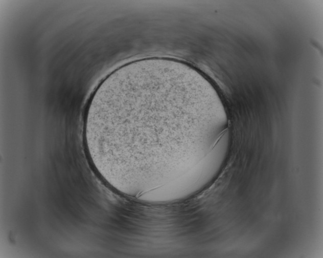 X0000096961508200803071039