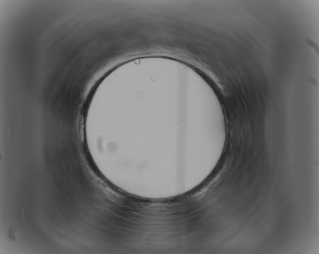 X0000096961510200803071039