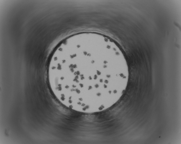 X0000096961511200803071039