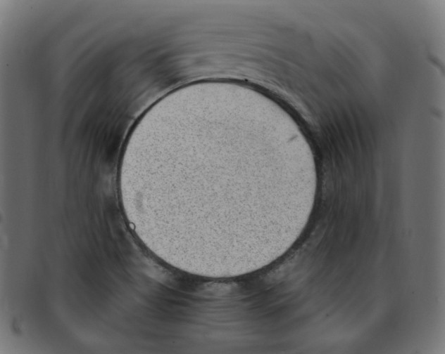 X0000096961513200803071039