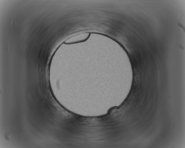 X0000096961516200803071039