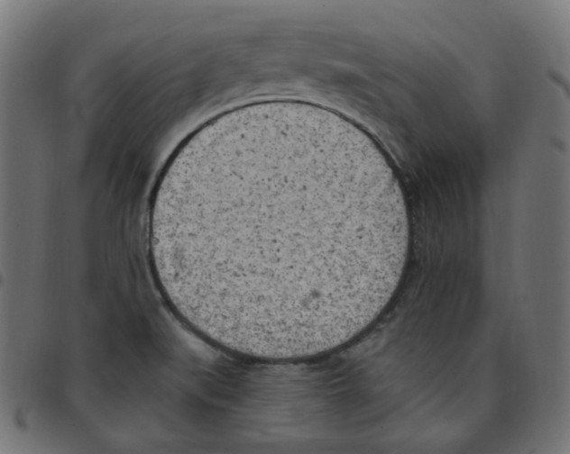 X0000096961519200803071039