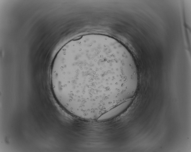 X0000096961520200803071039