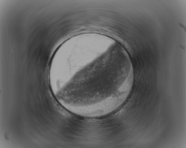 X0000096961522200803071039