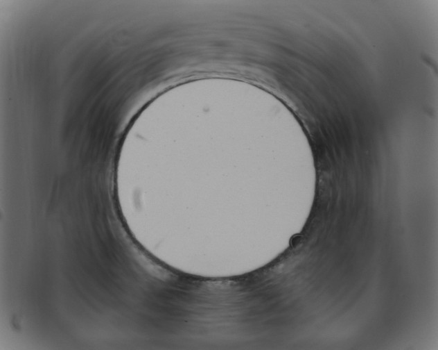 X0000096961523200803071039