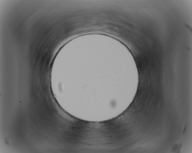 X0000096961526200803071039